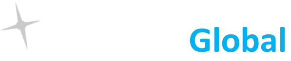 Everstone Global – Executive Advisory and Consulting